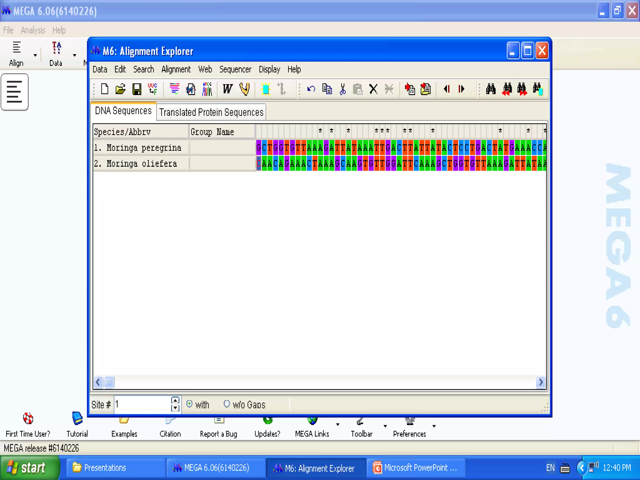 Basics of Cladistic Analysis Workshop