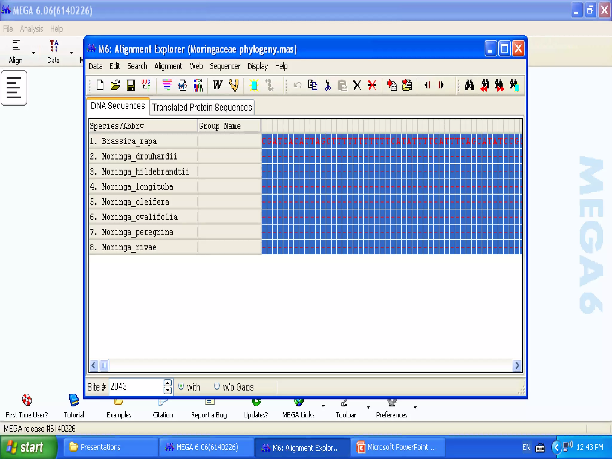 Basics of Cladistic Analysis Workshop