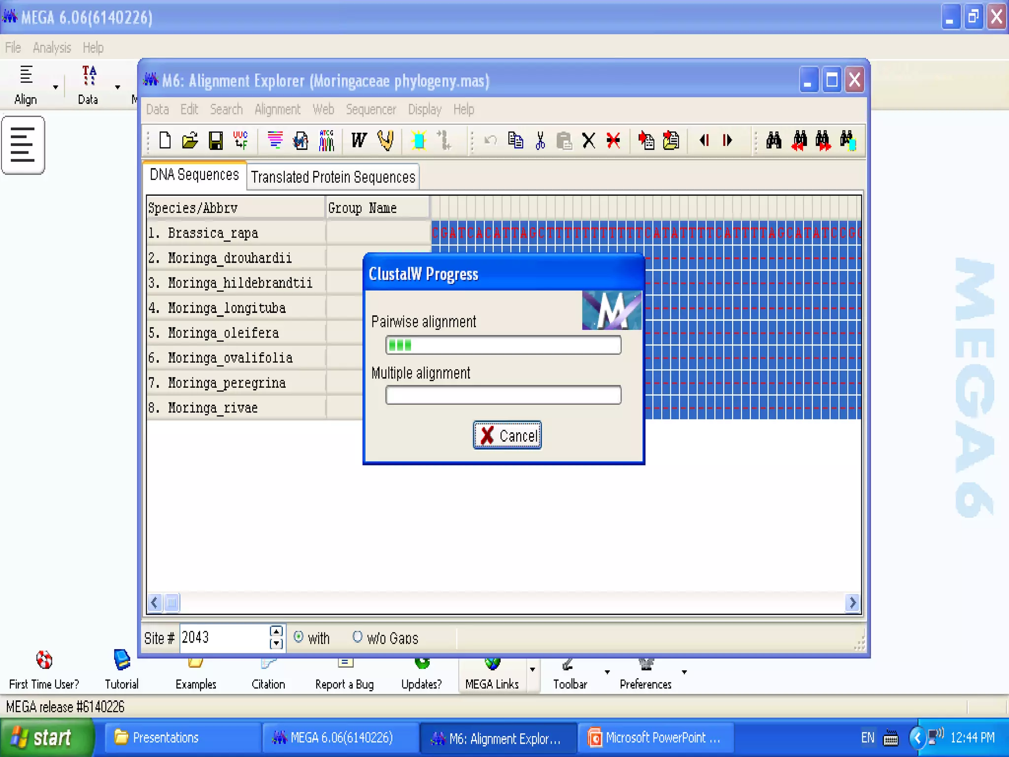 Basics of Cladistic Analysis Workshop
