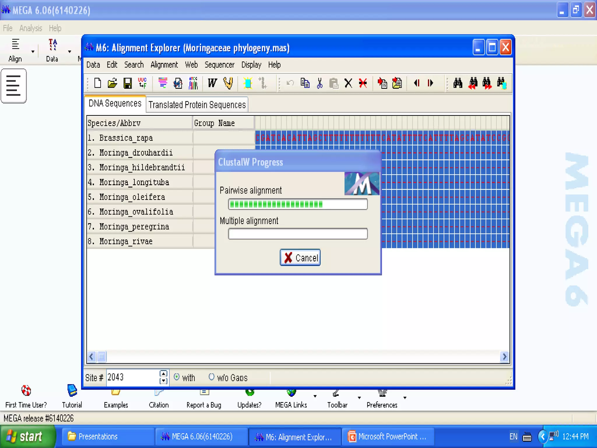Basics of Cladistic Analysis Workshop