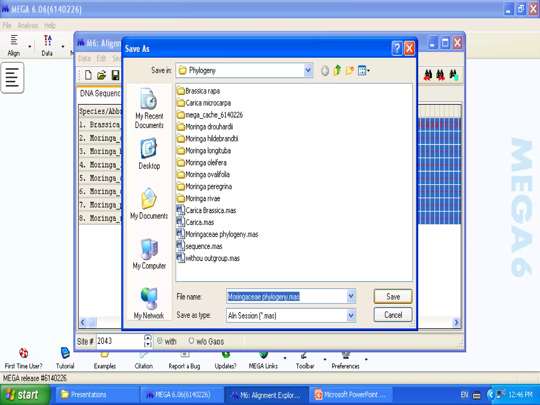 Basics of Cladistic Analysis Workshop