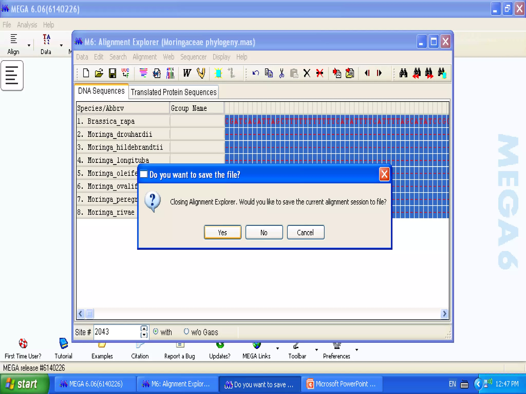 Basics of Cladistic Analysis Workshop