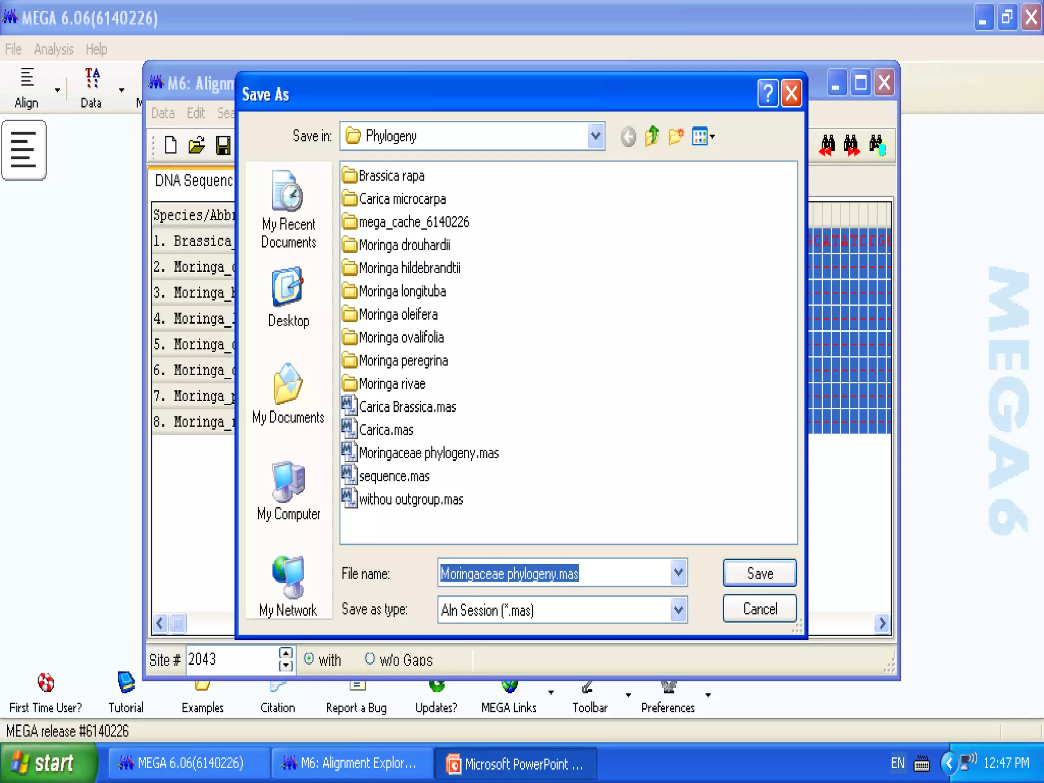 Basics of Cladistic Analysis Workshop