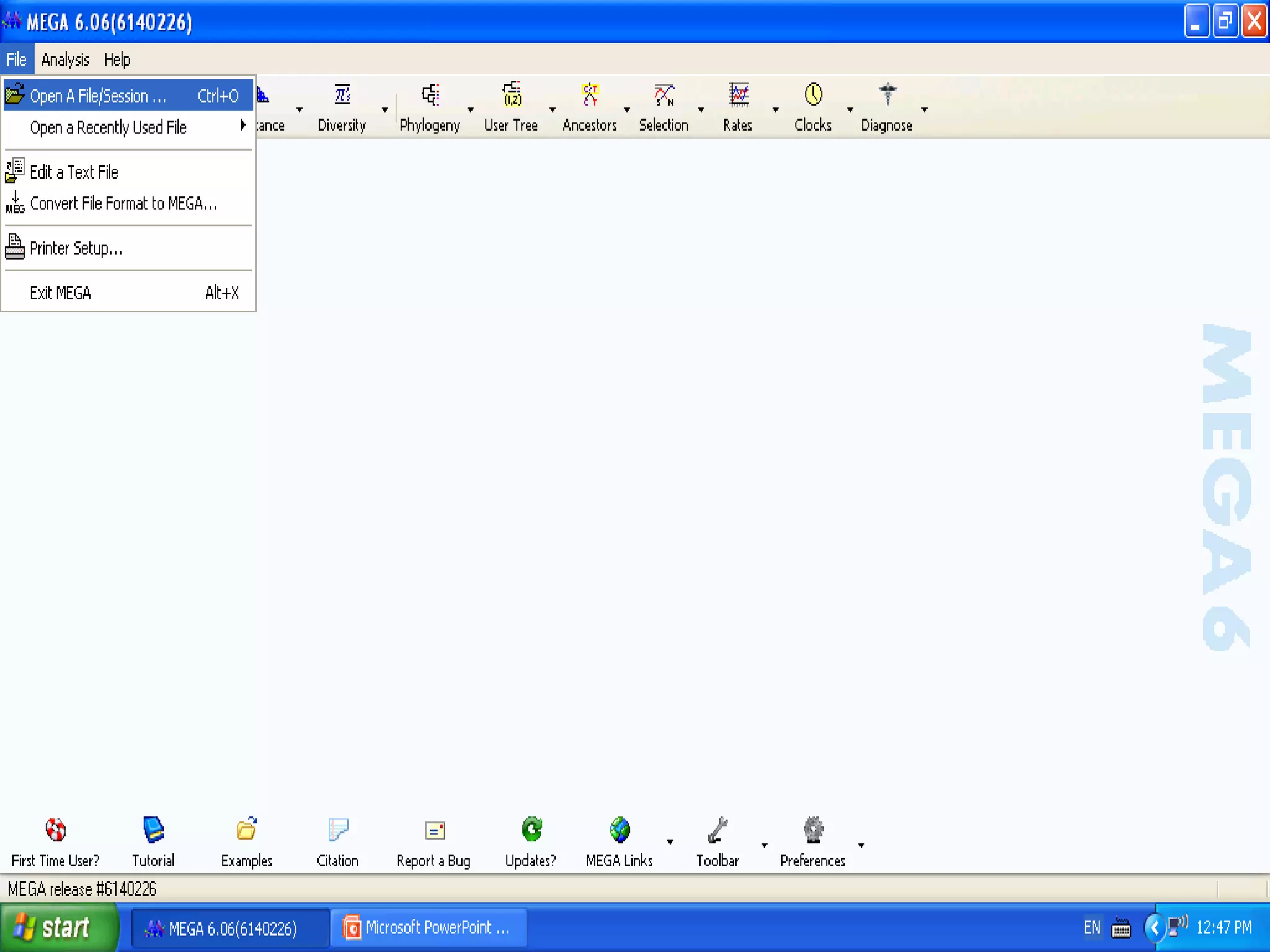 Basics of Cladistic Analysis Workshop