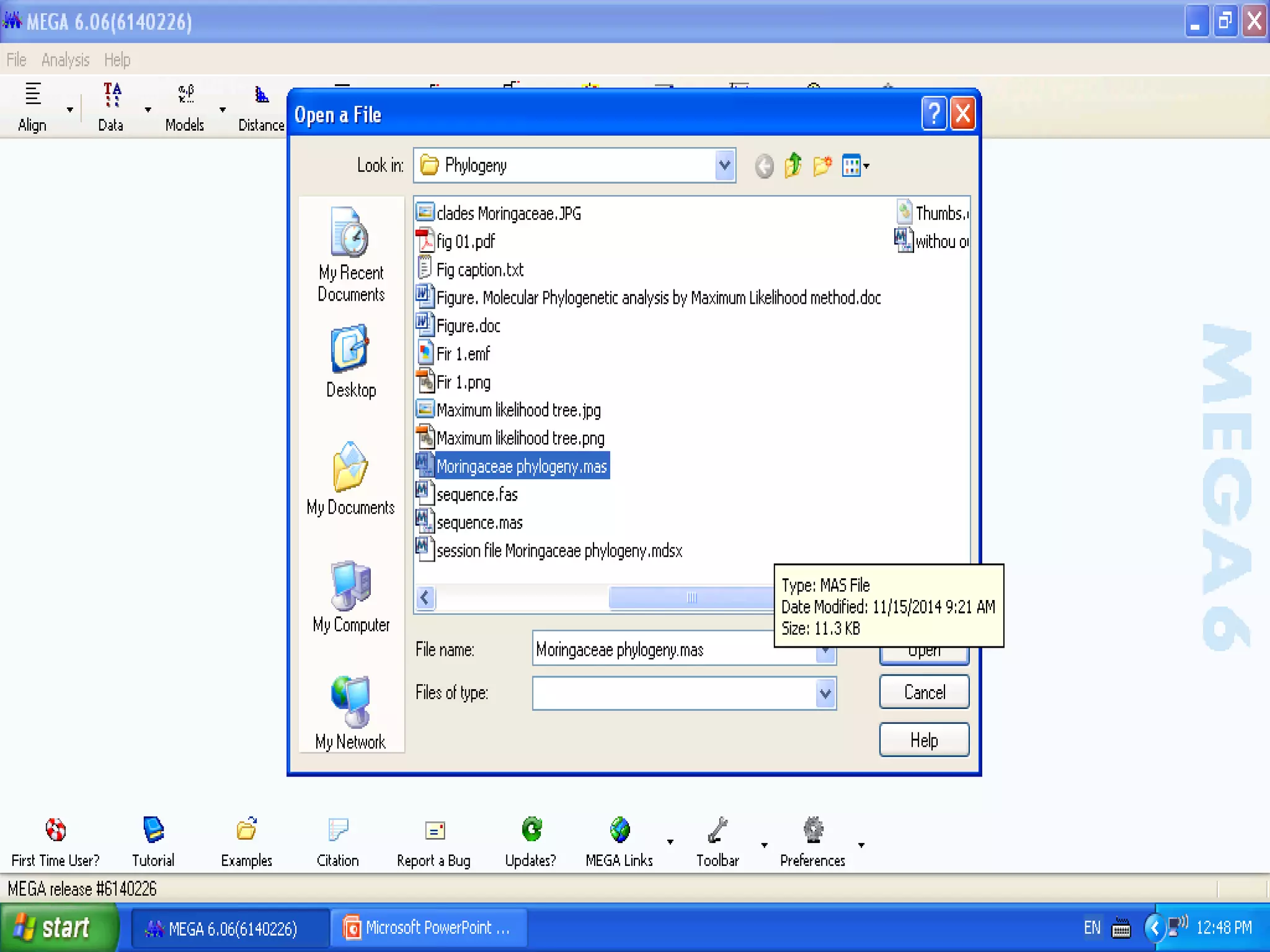 Basics of Cladistic Analysis Workshop