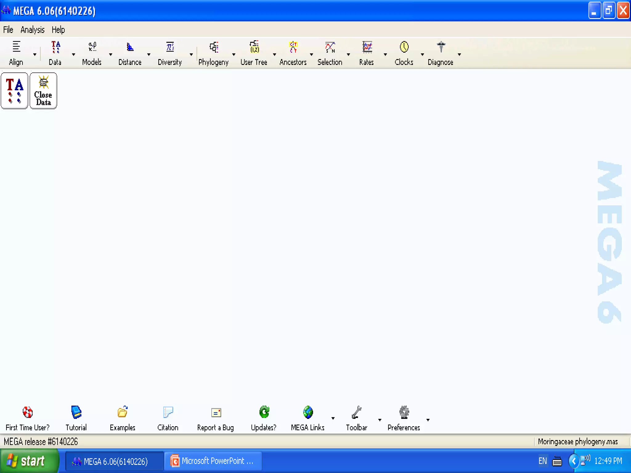 Basics of Cladistic Analysis Workshop