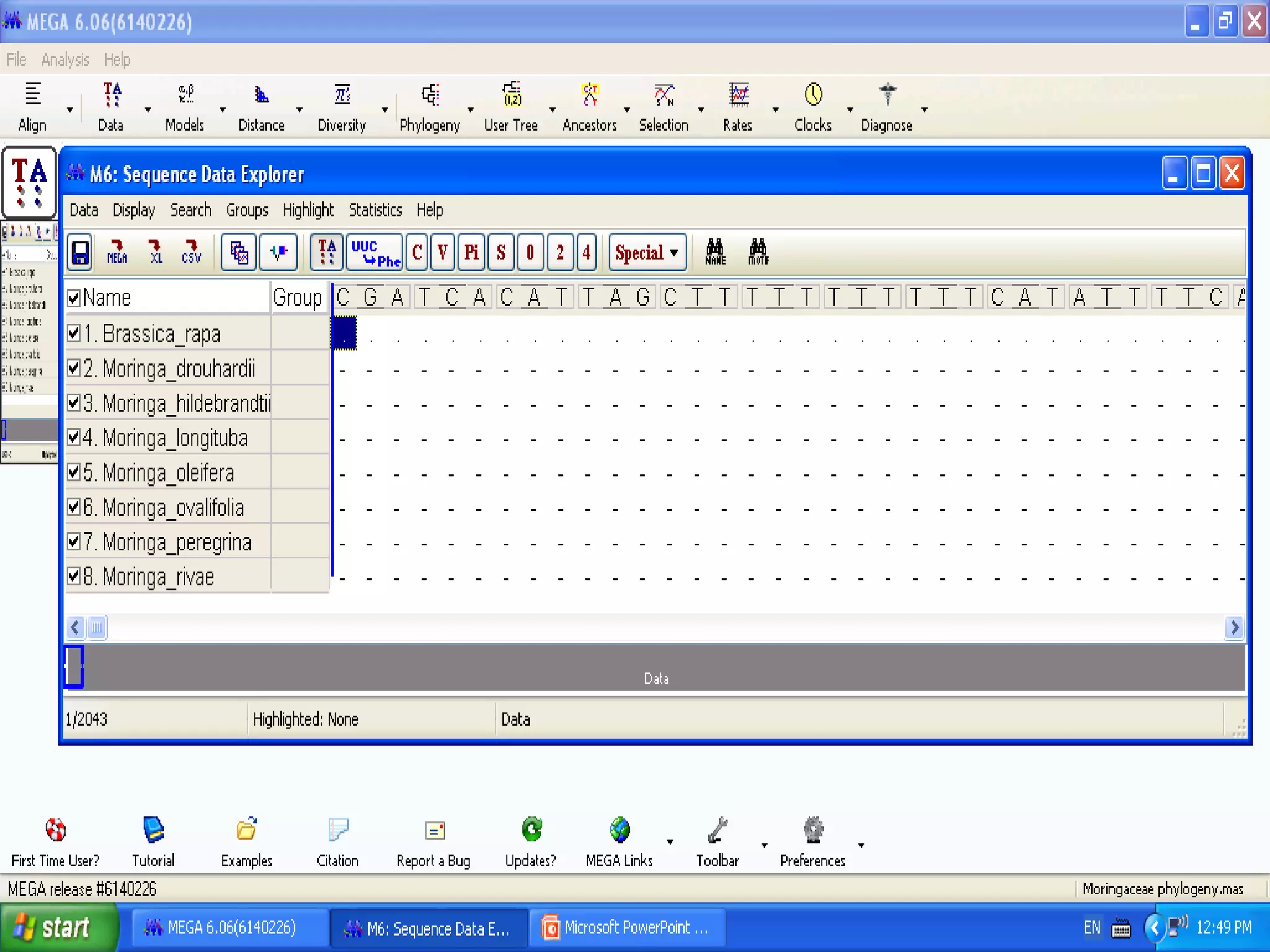Basics of Cladistic Analysis Workshop