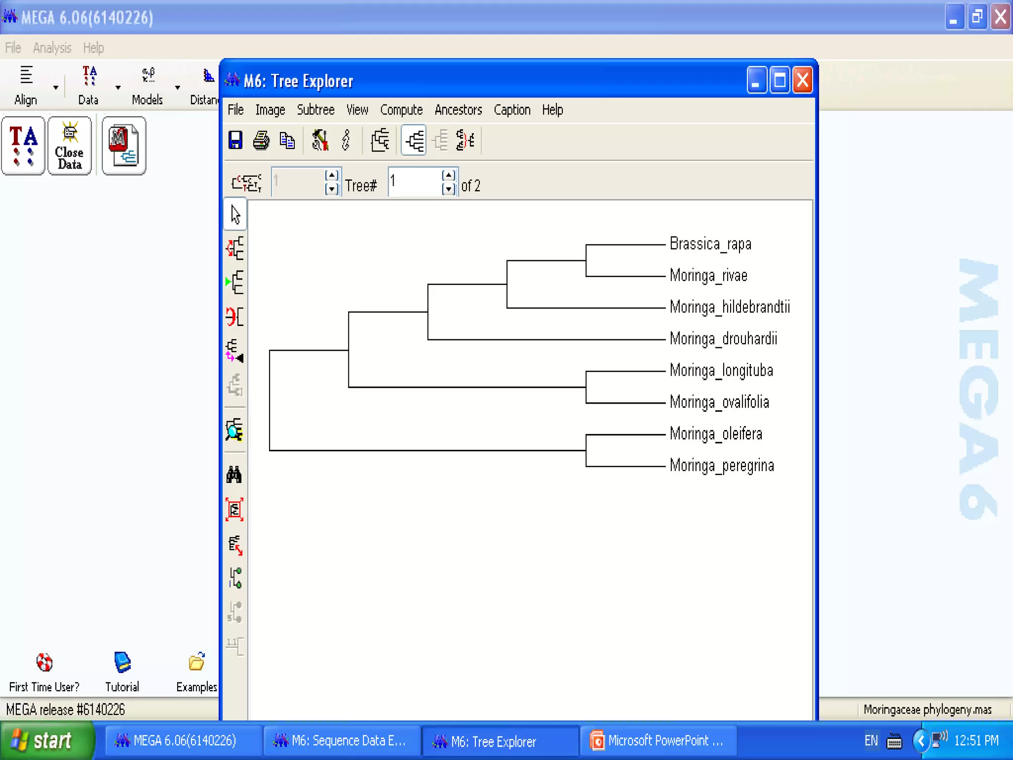 Basics of Cladistic Analysis Workshop