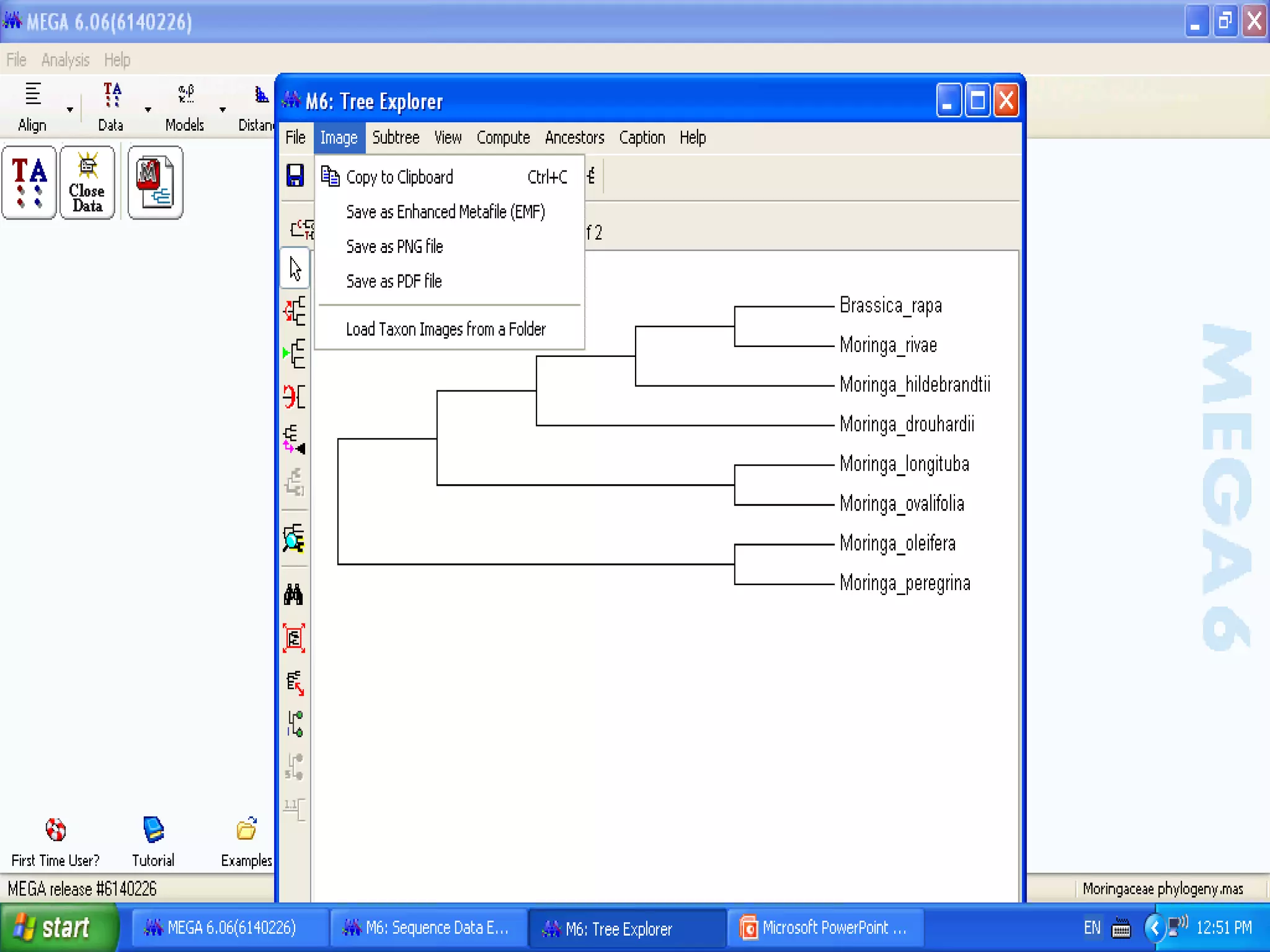 Basics of Cladistic Analysis Workshop