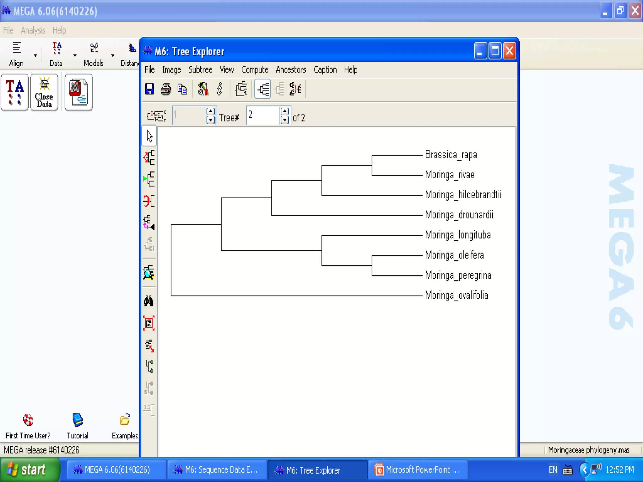 Basics of Cladistic Analysis Workshop