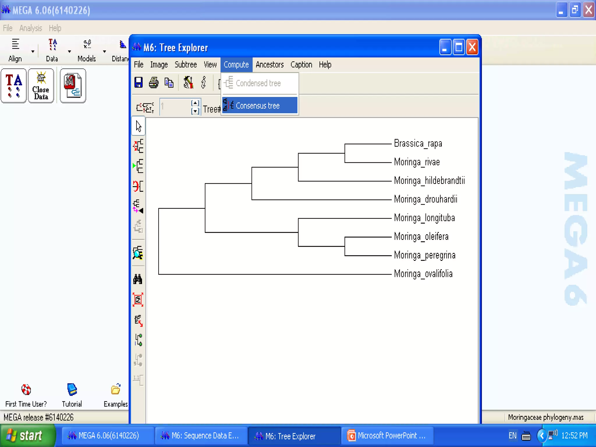Basics of Cladistic Analysis Workshop