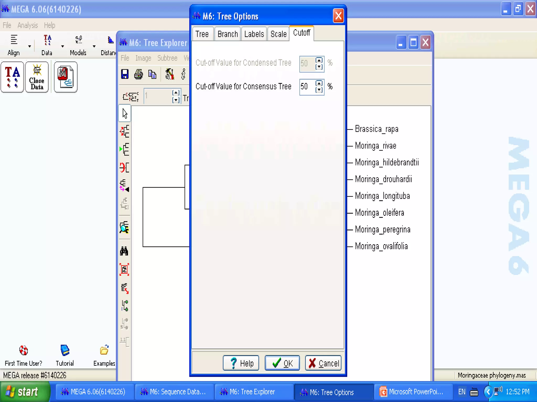 Basics of Cladistic Analysis Workshop