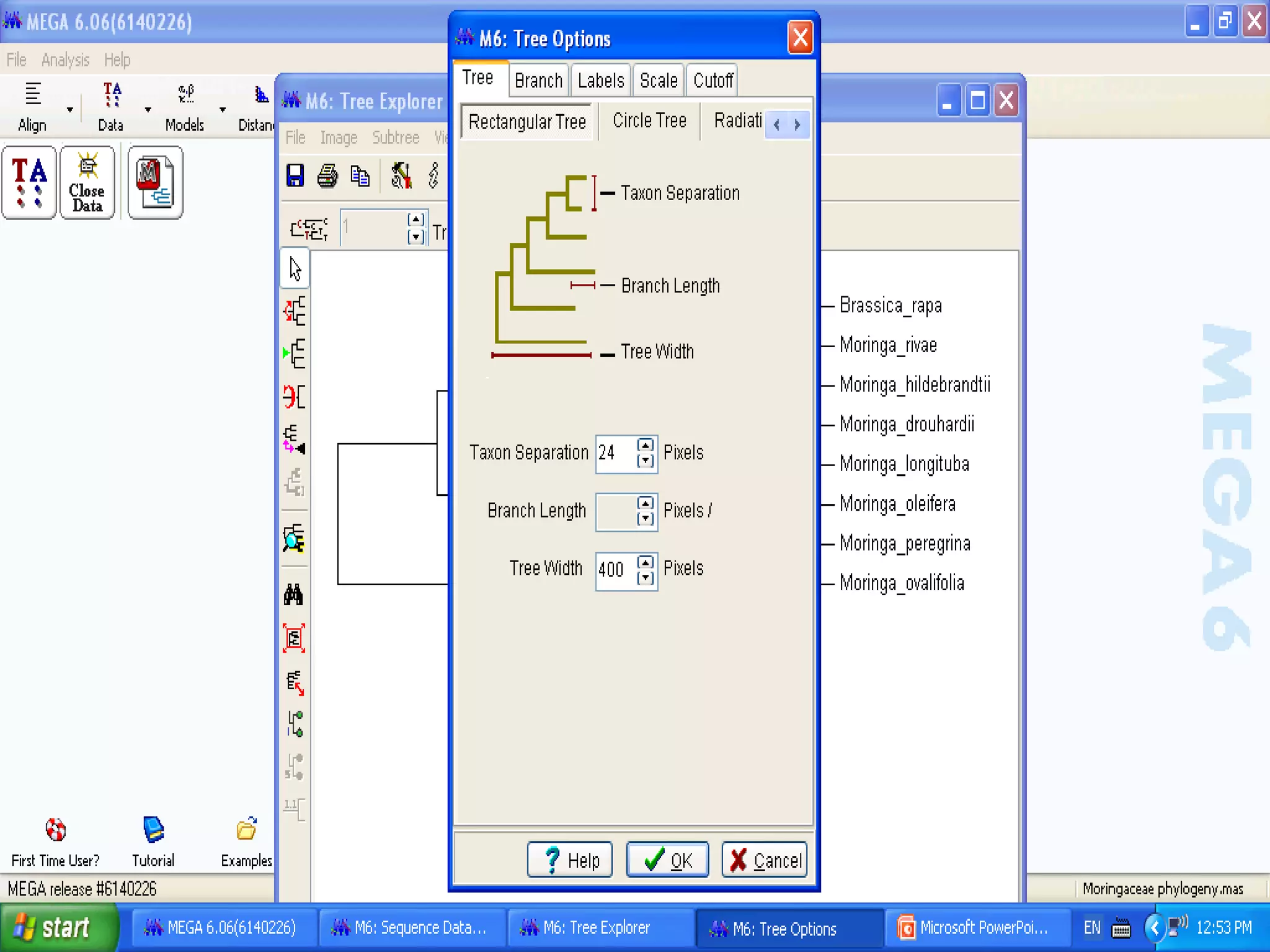 Basics of Cladistic Analysis Workshop