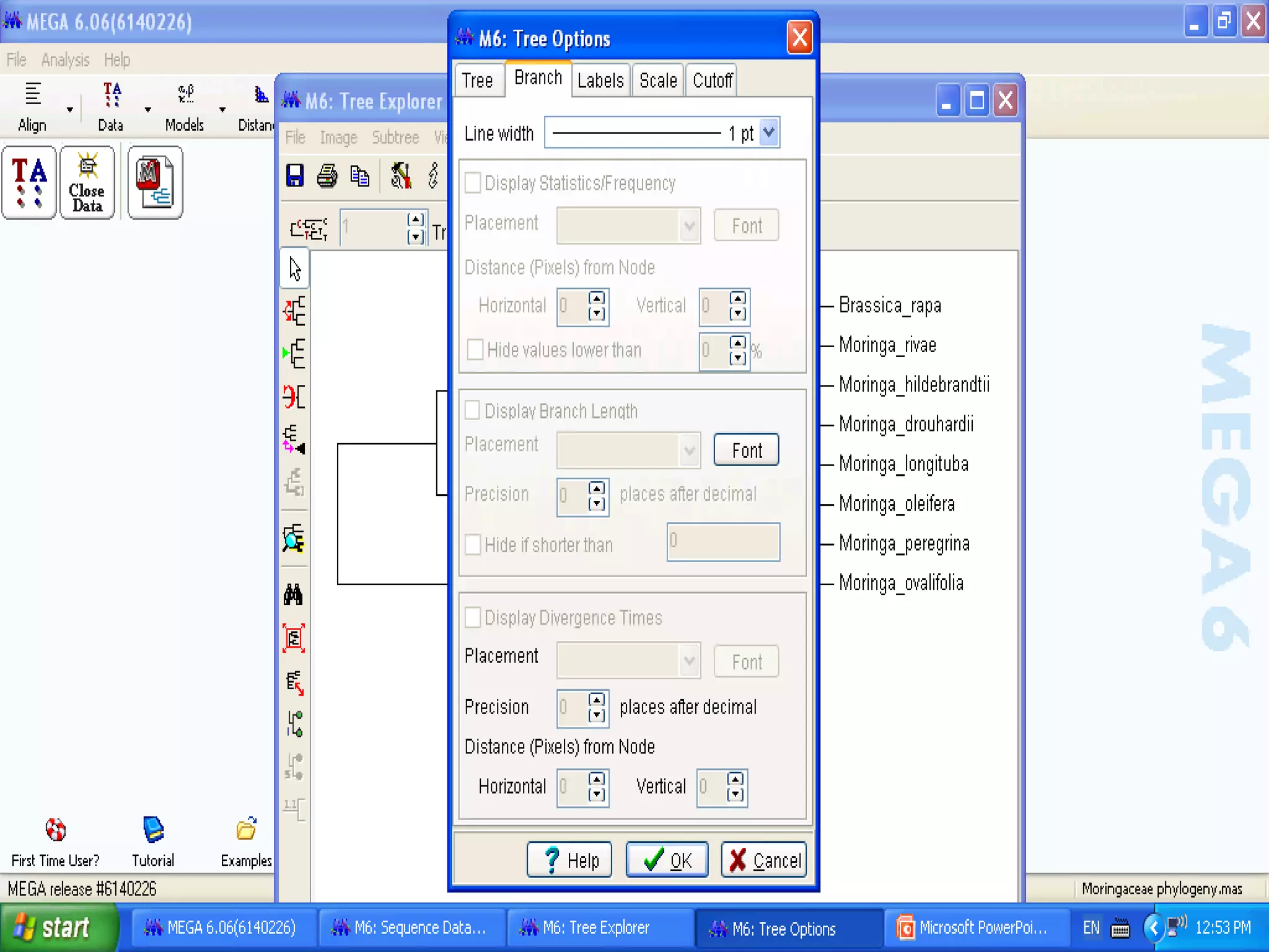 Basics of Cladistic Analysis Workshop