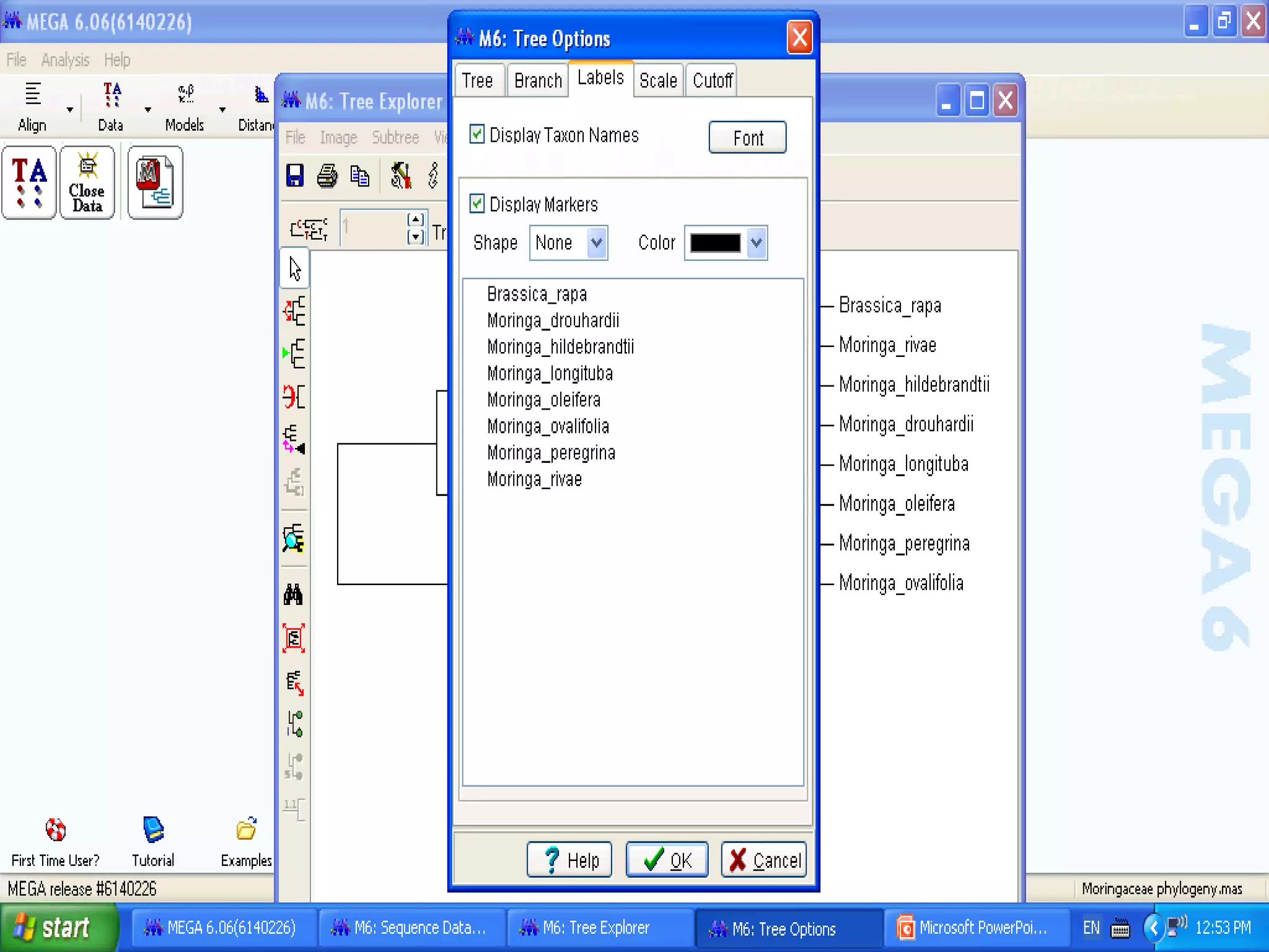 Basics of Cladistic Analysis Workshop