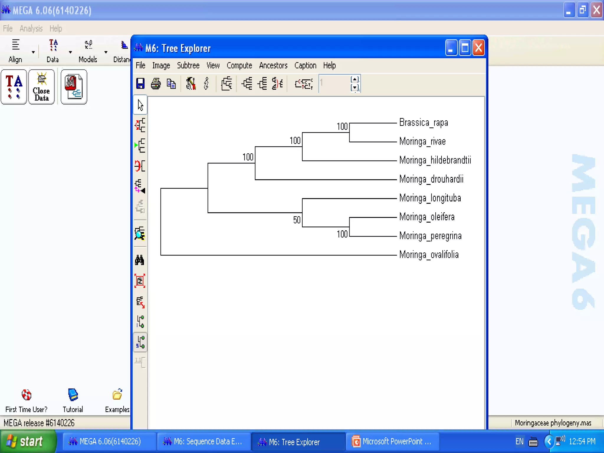 Basics of Cladistic Analysis Workshop