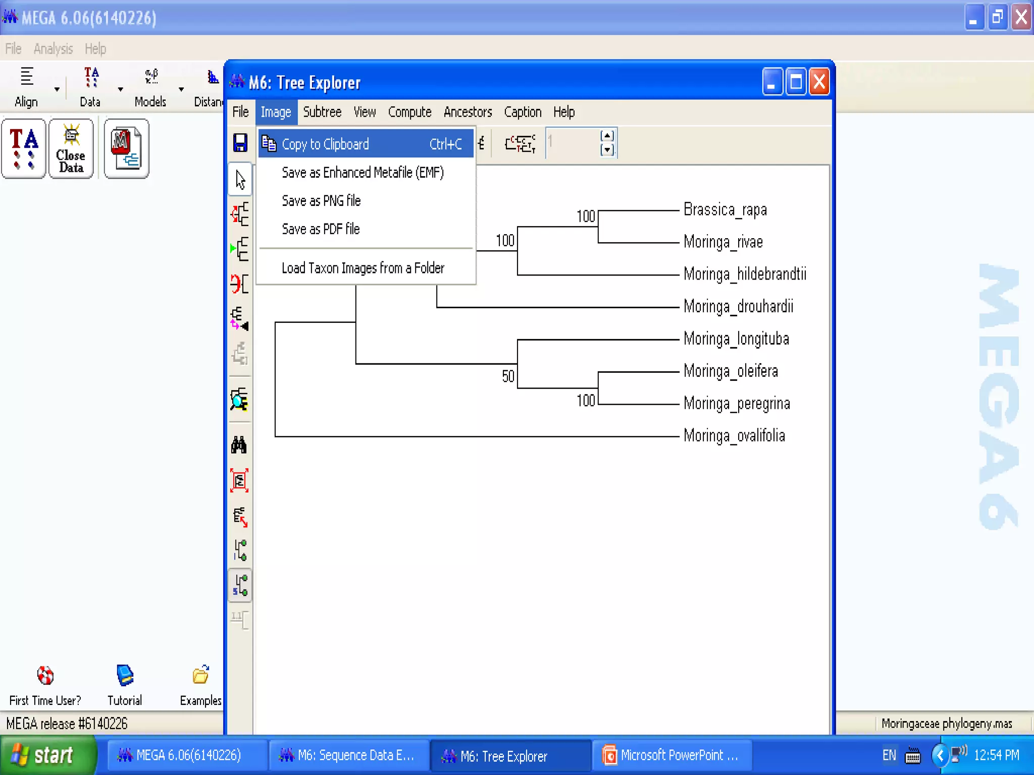Basics of Cladistic Analysis Workshop