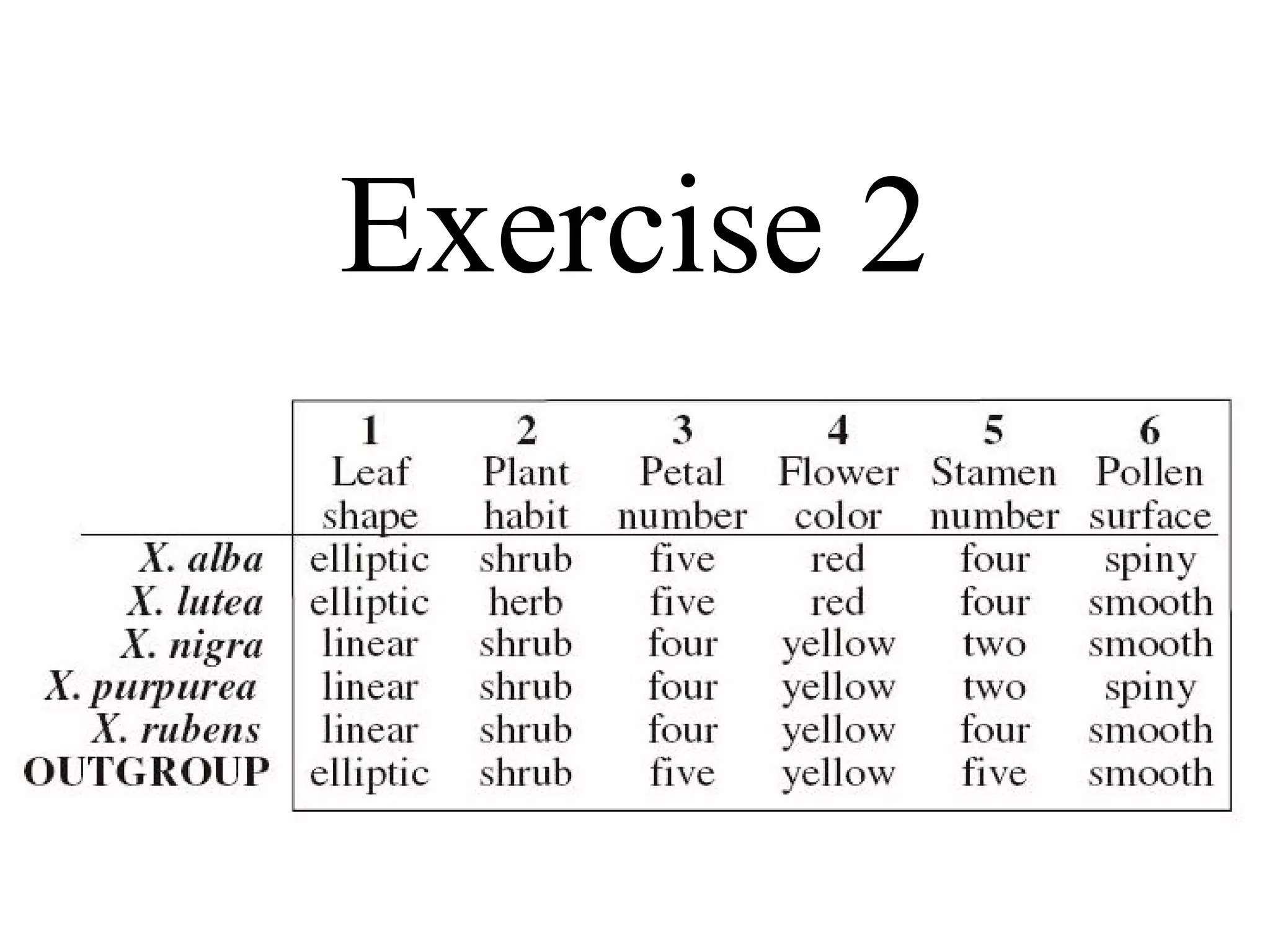 Exercise 2