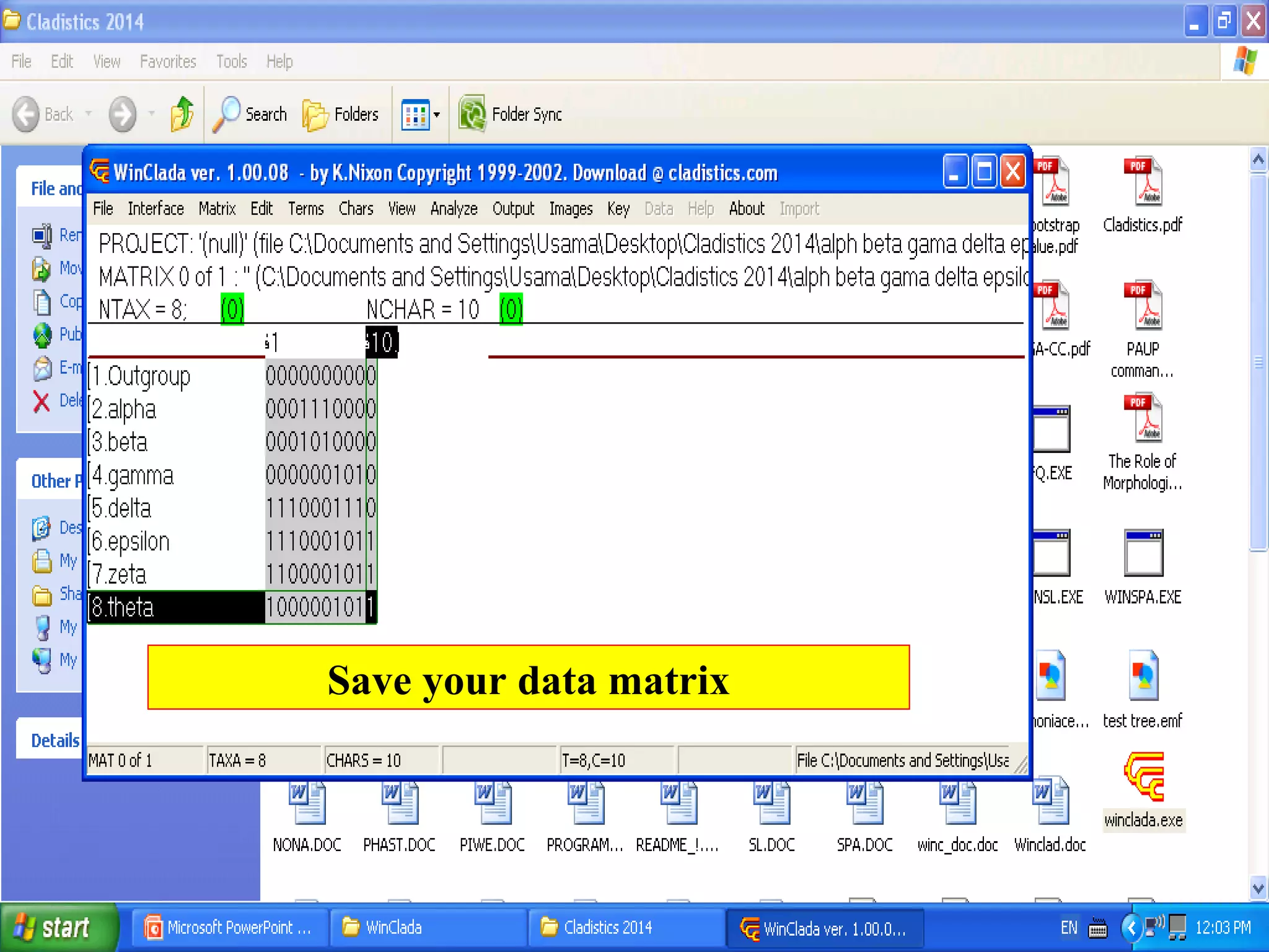 Save your data matrix