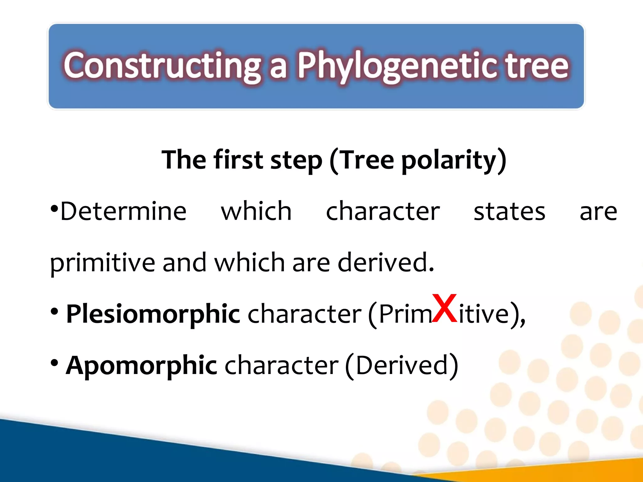 The first step (Tree polarity)
•Determine which character states are
primitive and which are derived.
• Plesiomorphic character (Prim itive),
• Apomorphic character (Derived)