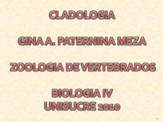 CLADOLOGIA GINA A. PATERNINA MEZA ZOOLOGIA DE VERTEBRADOS BIOLOGIA IV  UNISUCRE 2010 1 