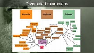 Diversidad microbiana
 
