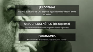 ¿FILOGENIA?¿FILOGENIA?
Historia evolutiva de una especie o grupos relacionados entre
especies.
ÁRBOL FILOGENÉTICO (cladograma)ÁRBOL FILOGENÉTICO (cladograma)
Vía para mostrar las relaciones filogenéticas entre organismos.
PARSIMONIAPARSIMONIA
Menor cantidad de cambios o pasos evolutivos posibles.
 