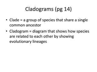 Cladograms (pg 14)
• Clade = a group of species that share a single
common ancestor
• Cladogram = diagram that shows how species
are related to each other by showing
evolutionary lineages
 