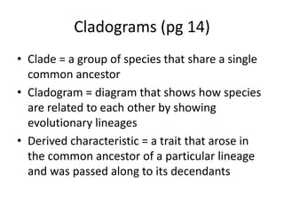 Cladograms (pg 14)
• Clade = a group of species that share a single
common ancestor
• Cladogram = diagram that shows how species
are related to each other by showing
evolutionary lineages
• Derived characteristic = a trait that arose in
the common ancestor of a particular lineage
and was passed along to its decendants
 