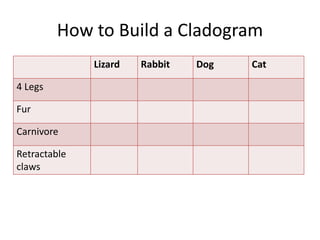 How to Build a Cladogram
Lizard Rabbit Dog Cat
4 Legs
Fur
Carnivore
Retractable
claws
 