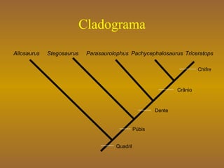 Cladograma Allosaurus Stegosaurus Parasaurolophus Pachycephalosaurus Triceratops Quadril Púbis Dente Crânio Chifre 