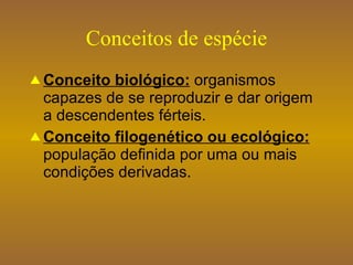 Conceitos de espécie Conceito biológico:  organismos capazes de se reproduzir e dar origem a descendentes férteis. Conceito filogenético ou ecológico:  população definida por uma ou mais condições derivadas. 