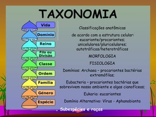 TAXONOMIA Classificações anatômicas de acordo com a estrutura celular: eucarionte/procariontes; unicelulares/pluricelulares; autotróficos/heterotróficos MORFOLOGIA FISIOLOGIA Domínios: Archaea – procariontes bactérias extremófilas; Eubacteria – procariontes bactérias que sobrevivem nosso ambiente e algas cianofíceas; Eukaria: eucariontes Domínio Alternativo: Vírus - Aphanobionta Subespécies e raças 