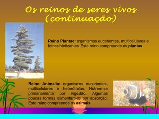 Os reinos de seres vivos (continuação) Reino Plantae:  organismos eucariontes, multicelulares e fotossintetizantes. Este reino compreende as  plantas . Reino Animalia:  organismos eucariontes, multicelulares e heterótrofos. Nutrem-se primariamente por ingestão. Algumas poucas formas alimentam-se por absorção. Este reino compreende os  animais .  