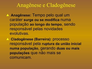 Anagênese e Cladogênese Anagênese:  Tempo pelo qual um caráter  surge ou se modifica  numa população  ao longo do tempo , sendo responsável pelas novidades evolutivas. Cladogênese (Barreira):  processo responsável pela  ruptura da união inicial numa população , gerando  duas ou mais populações  que não mais se comunicam.  