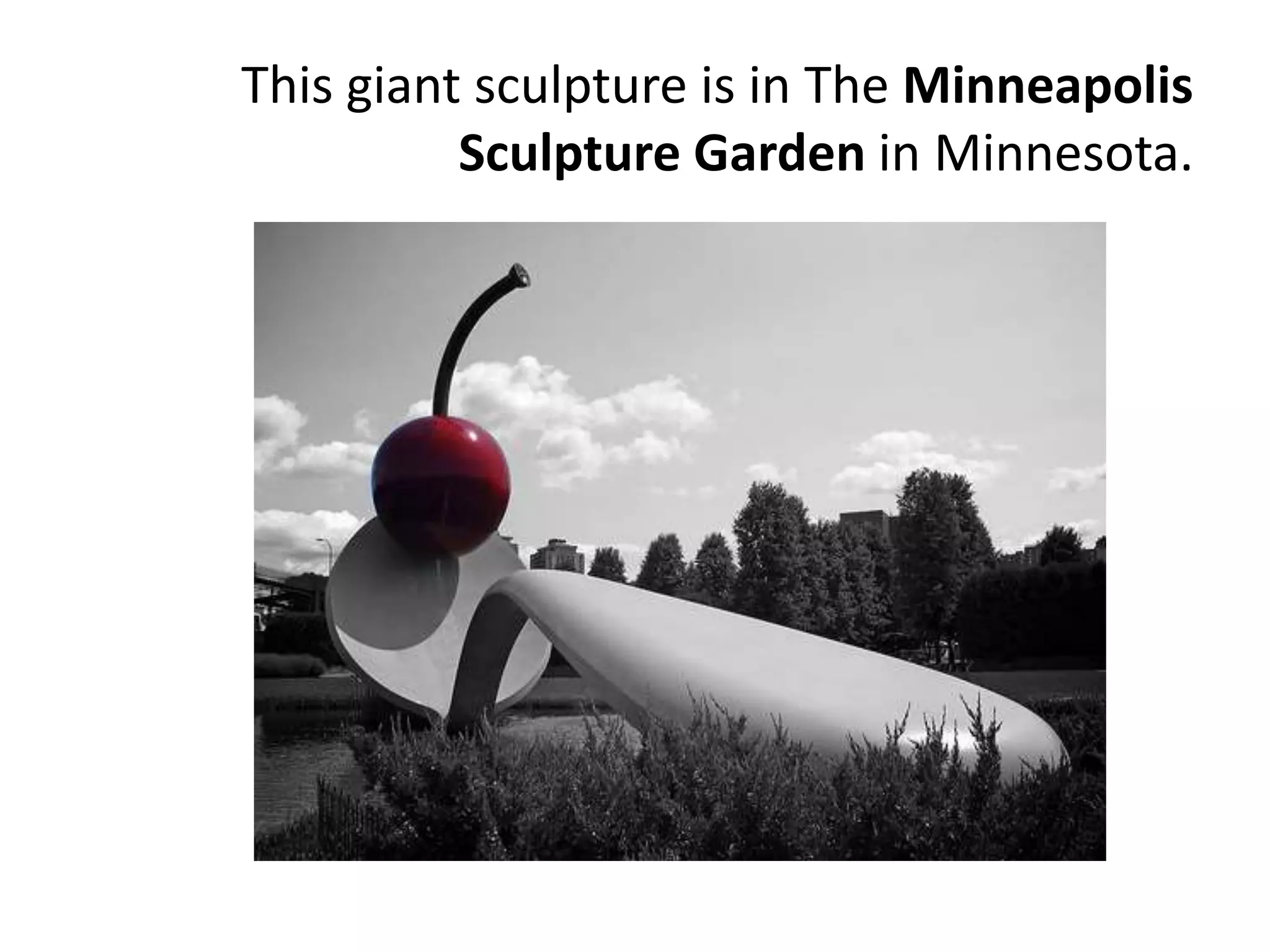 This giant sculpture is in The Minneapolis
Sculpture Garden in Minnesota.
 
