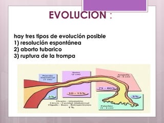 hay tres tipos de evolución posible
1) resolución espontánea
2) aborto tubarico
3) ruptura de la trompa
EVOLUCION :
 