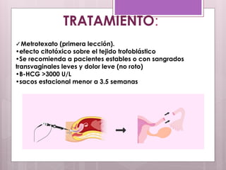 TRATAMIENTO:
✓Metrotexato (primera lección).
•efecto citotóxico sobre el tejido trofoblástico
•Se recomienda a pacientes estables o con sangrados
transvaginales leves y dolor leve (no roto)
•B-HCG >3000 U/L
•sacos estacional menor a 3.5 semanas
 