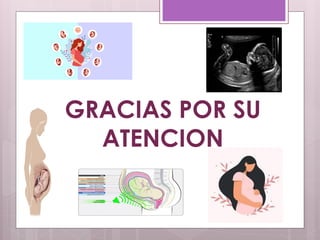 GRACIAS POR SU
ATENCION
 
