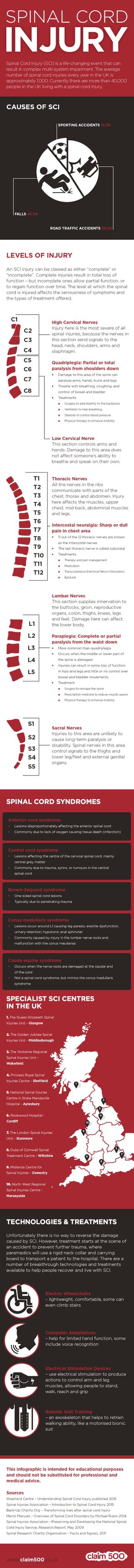Spinal Cord Injury Infographic