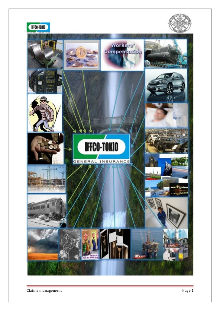 Claims Management iffco Tokio Gi claims-management-iffco-tokio-gi