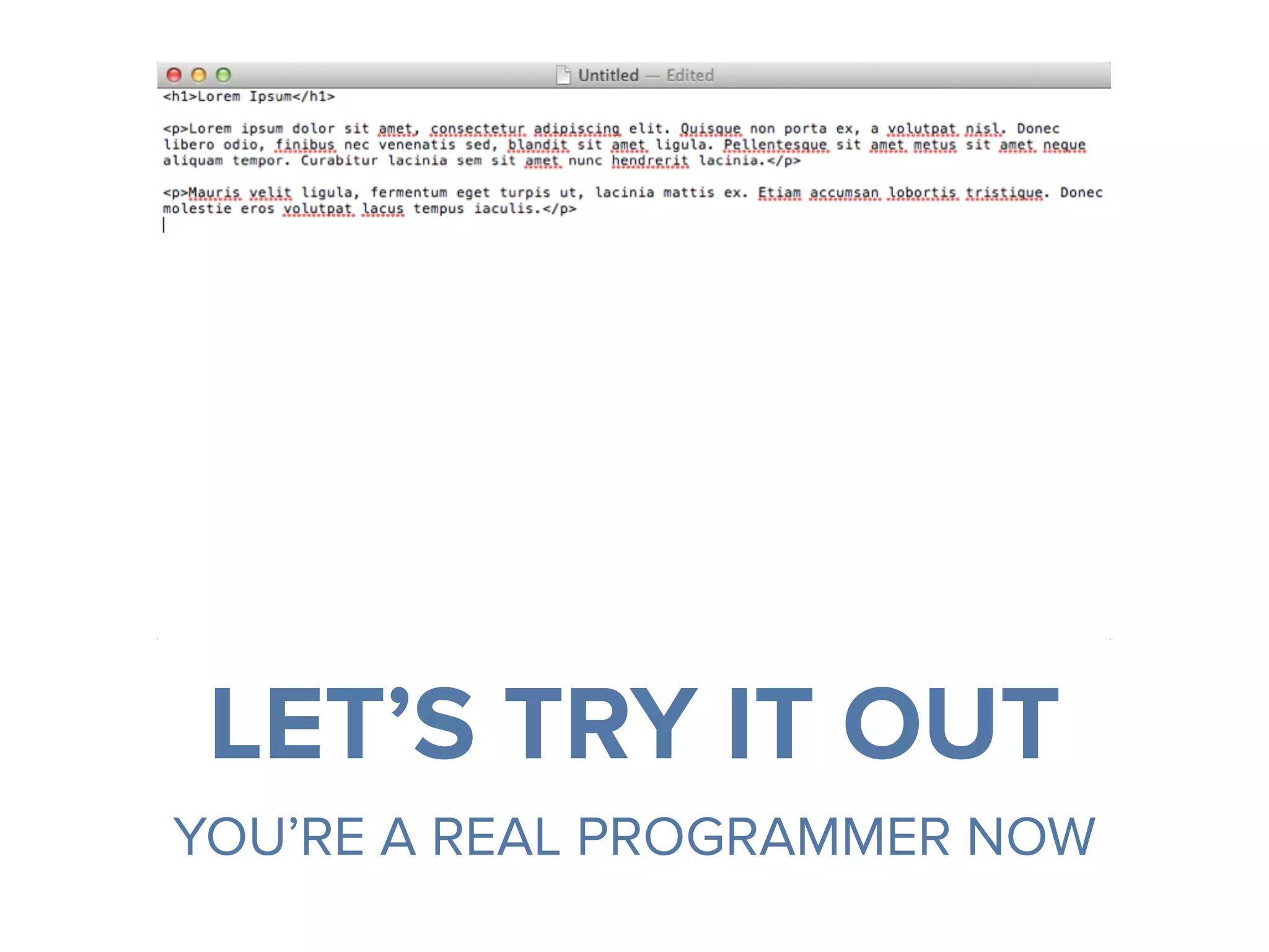 LET’S TRY IT OUT
YOU’RE A REAL PROGRAMMER NOW
 