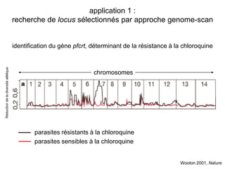 application 1 :
                                      recherche de locus sélectionnés par approche genome-scan


                                      identification du gène pfcrt, déterminant de la résistance à la chloroquine
Réduction de la diversité allélique




                                                                    chromosomes




                                              parasites résistants à la chloroquine
                                              parasites sensibles à la chloroquine


                                                                                                    Wooton 2001, Nature
 
