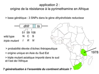 application 2 :
     origine de la résistance à la pyrimethamine en Afrique

 > base génétique : 3 SNPs dans le gène dihydrofolate reductase


                    dhfr       ts
                51 59 108
wild type       N C S
triple mutant   I     R    N

  > probabilité élevée d’échec thérapeutique
 > origine unique en Asie du Sud Est                              1978
 > triple mutant asiatique importé dans le sud
 et l’est de l’Afrique


? généralisation à l’ensemble du continent africain ?             15
 