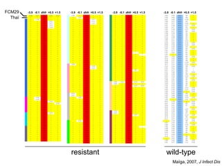 FCM29        -3.9 -0.1 dhfr +0,5 +1,5
              -3,9 -0,1 dhfr +0.5 +1.5     -3.9 -0.1 dhfr +0,5 +1,5
                                            -3,9 -0,1 dhfr +0.5 +1.5   -3.9 -0.1 dhfr +0,5 +1,5
                                                                        -3,9 -0,1 dhfr +0.5 +1.5     -3.9 -0.1 dhfr +0,5 +1,5
                                                                                                      -3,9 -0,1 dhfr +0.5 +1.5
     FCM29   194   147   IRN   105   202   196    -    IRN    -    -    -     -    IRN    -     -    185   140   NCS   99    -
  ThaïTHAI    -
              -
                    -
                   139
                         IRN
                         IRN
                                -
                                -
                                      -
                                      -
                                            -
                                            -
                                                 150
                                                  -
                                                       IRN
                                                       IRN
                                                              -
                                                             107
                                                                   -
                                                                   -
                                                                        -
                                                                        -
                                                                              -
                                                                              -
                                                                                   IRN
                                                                                   IRN
                                                                                          -
                                                                                          -
                                                                                                -
                                                                                                -
                                                                                                     192
                                                                                                     187
                                                                                                           166
                                                                                                           145
                                                                                                                 NCS
                                                                                                                 NCS
                                                                                                                       99
                                                                                                                       109
                                                                                                                             -
                                                                                                                             -
              -     -    IRN   107    -     -     -    IRN   111   -    -     -    IRN    -     -    190   127   NCS   93
              -     -    IRN   107    -     -     -    IRN   111   -    -     -    IRN    -     -    191   127   NCS   109    -
              -     -    IRN   107    -     -     -    IRN    -    -    -     -    IRN    -     -    191   136   NCS   107   204
              -     -    IRN   109    -     -     -    IRN    -    -    -     -    IRN    -     -    192   127   NCS   93     -
              -     -    IRN    -     -     -     -    IRN    -    -    -     -    IRN    -     -    192   136   NCS   107   204
              -     -    IRN    -     -     -     -    IRN    -    -    -     -    IRN    -     -    196   127   NCS   99    204
              -     -    IRN    -     -     -     -    IRN    -    -    -     -    IRN    -     -    198   139   NCS   93     -
              -     -    IRN    -     -     -     -    IRN    -    -    -     -    IRN    -     -    198   151   NCS   99     -
              -     -    IRN    -     -     -     -    IRN    -    -    -     -    IRN    -     -    214   158   NCS   95     -
              -     -    IRN    -     -     -     -    IRN    -    -    -     -    IRN    -     -    188   127   NCS   93     -
              -     -    IRN    -     -     -     -    IRN    -    -    -     -    IRN    -     -    192   137   NCS   103    -
              -     -    IRN    -     -     -     -    IRN    -    -    -     -    IRN    -     -    206   140   NCS   103   204
              -     -    IRN    -     -     -     -    IRN    -    -    -     -    IRN    -     -    206   154   NCS   103   204
              -     -    IRN    -     -     -     -    IRN    -    -    -     -    IRN    -     -    224   142   NCS   95
              -     -    IRN    -     -     -     -    IRN    -    -    -     -    IRN    -     -    187   141   NCS   93    204
              -     -    IRN    -     -     -     -    IRN    -    -    -     -    IRN    -     -    191   127   NCS   97     -
              -     -    IRN    -     -     -     -    IRN    -    -    -     -    IRN    -     -    191   163   NCS   95     -
              -     -    IRN    -     -     -     -    IRN    -    -    -     -    IRN    -     -    197    -    NCS   93     -
              -     -    IRN    -     -     -     -    IRN    -    -    -     -    IRN    -     -    200   150   NCS   85    204
              -     -    IRN    -     -     -     -    IRN    -    -    -     -    IRN    -     -    202   160   NCS   93     -
              -     -    IRN    -     -     -     -    IRN    -    -    -     -    IRN    -     -    204   137   NCS   99     -
              -     -    IRN    -     -     -     -    IRN    -    -    -     -    IRN    -     -    206   127   NCS   109   204
              -     -    IRN    -     -    189    -    IRN         -    -     -    IRN    -     -    207   137   NCS   103    -
              -     -    IRN    -     -     -     -    IRN   103   -    -     -    IRN    -     -    210   150   NCS   99    204
              -     -    IRN    -     -     -     -    IRN   103   -    -     -    IRN    -     -    191   153   NCS   93     -
              -     -    IRN    -     -     -     -    IRN    -    -    -     -    IRN   95     -    201   127   NCS   93     -
              -     -    IRN    -     -     -     -    IRN    -    -    -     -    IRN    -     -    212   146   NCS   97    204
              -     -    IRN    -     -     -     -    IRN    -    -    -     -    IRN    -     -    192   140   NCS   99     -
              -     -    IRN    -     -     -     -    IRN    -    -    -     -    IRN    -     -    200   156   NCS   103   204
              -     -    IRN    -     -     -     -    IRN    -    -    -     -    IRN    -     -    202   147   NCS   85     -
              -     -    IRN    -     -     -     -    IRN    -    -    -     -    IRN    -     -    188   140   NCS   97    204
              -     -    IRN    -     -     -     -    IRN    -    -   192   152   IRN   103   204   189   153   NCS   95     -
              -     -    IRN    -     -     -     -    IRN    -    -   196    -    IRN    -     -    189   154   NCS   95     -
              -     -    IRN    -     -     -     -    IRN    -    -    -     -    IRN   107   204   192   135   NCS   97     -
              -     -    IRN    -     -     -     -    IRN    -    -    -     -    IRN    -     -    192   135   NCS   103   204
              -     -    IRN    -     -     -     -    IRN    -    -    -     -    IRN    -     -    192   135   NCS   107   204
              -     -    IRN    -     -     -     -    IRN    -    -    -     -    IRN    -     -    192   135   NCS    -    204
              -     -    IRN    -     -    200    -    IRN    -    -    -     -    IRN    -     -    192   140   NCS   99     -
              -     -    IRN    -     -    202    -    IRN    -    -    -     -    IRN    -     -    192   144   NCS   102    -
              -    154   IRN    -     -     -    150   IRN    -    -    -     -    IRN    -     -    192   154   NCS   103   204
              -    154   IRN    -     -     -     -    IRN    -    -    -     -    IRN    -     -    192    -    NCS   101
              -     -    IRN   103    -     -     -    IRN    -    -    -     -    IRN    -     -    202   139   NCS    -    204
              -     -    IRN    -    204    -     -    IRN    -    -    -     -    IRN    -     -    202   143   NCS   85    204
              -     -    IRN    -     -     -     -    IRN    -    -    -     -    IRN    -     -    204   141   NCS   97    195
              -     -    IRN    -     -     -     -    IRN    -    -    -     -    IRN    -     -    204   143   NCS    -     -
              -     -    IRN    -     -     -     -    IRN    -    -    -     -    IRN    -     -    206   139   NCS   103   204
              -     -    IRN    -     -     -     -    IRN    -    -   192    -    IRN    -     -    206   146   NCS   99     -
              -     -    IRN   103    -     -     -    IRN    -    -   202    -    IRN    -     -    206   151   NCS   97     -
              -     -    IRN    -     -     -     -    IRN    -    -    -     -    IRN   107    -    208   135   NCS   103   204
              -     -    IRN    -     -     -     -    IRN    -    -    -     -    IRN    -     -    210   137   NCS   95     -
              -     -    IRN    -     -     -     -    IRN    -    -    -     -    IRN    -     -    212   127   NCS   111   205
              -     -    IRN    -     -          151   IRN    -    -    -     -    IRN    -     -     -    139   NCS   99    204
              -     -    IRN    -     -     -     -    IRN    -    -    -     -    IRN    -     -    187   143   NCS   93     -
              -     -    IRN    -     -     -     -    IRN    -    -    -     -    IRN    -     -    188   162   NCS   103   204
              -     -    IRN    -     -     -     -    IRN    -    -    -     -    IRN    -     -    192   144   NCS   93     -
              -     -    IRN    -     -     -     -    IRN    -    -    -     -    IRN    -     -    198   140   NCS   99     -
              -     -    IRN    -     -     -     -    IRN    -    -    -     -    IRN    -     -    198   149   NCS   93     -
              -     -    IRN    -     -     -     -    IRN    -    -    -     -    IRN    -     -    200   144   NCS   85    204
              -     -    IRN    -     -     -     -    IRN    -    -    -     -    IRN    -     -    212   149   NCS    -     -
              -     -    IRN    -     -     -     -    IRN    -    -    -     -    IRN    -     -    214   127   NCS   99     -
              -     -    IRN    -     -     -     -    IRN    -    -    -     -    IRN    -     -     -    150   NCS   95     -
              -     -    IRN    -     -     -     -    IRN    -    -    -     -    IRN    -     -    190   142   NCS   99    204
                                            -     -    IRN    -    -    -     -    IRN    -     -    191   127   NCS   111   204




                                           resistant                                                   wild-type
                                                                                                            Maïga, 2007, J Infect Dis
 