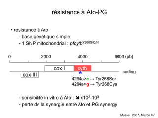 résistance à Ato-PG

    • résistance à Ato
        - base génétique simple
        - 1 SNP mitochondrial : pfcytbY268S/C/N

0                  2000             4000            6000 (pb)

                          cox I     cytb
                                                         coding
         cox III
                                  4294a>c → Tyr268Ser
                                  4294a>g → Tyr268Cys


       - sensibilité in vitro à Ato :  x102-103
       - perte de la synergie entre Ato et PG synergy

                                                        Musset 2007, Microb Inf
 