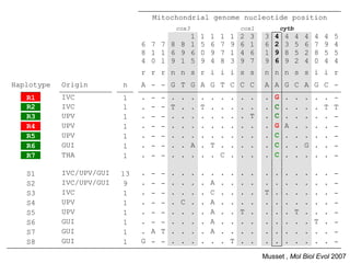 Mitochondrial genome nucleotide position
                                               cox3                       cox1            cytb
                                         1                1   1   1   1   2   3   3   4    4     4   4   4   4   5
                               6 7 7 8 8 1                5   6   7   9   6   1   6   2    3     5   6   7   9   4
                               8 1 1 6 9 6                0   9   7   1   4   6   1   9    8     5   2   8   5   5
                               4 0 1 9 1 5                9   4   8   3   9   7   9   6    9     2   4   0   4   4
                               r r r n n s r i i i s s                            n n n s s i i r
Haplotype   Origin        n    A - - G T G A G T C C C                            A A G C A G C -
   R1       IVC           1    .   -   -   .    .     .   .   .   .   .   .   .   .   G    .     .   .   .   .   -
   R2       IVC           1    .   -   -   T    .     .   T   .   .   .   .   .   .   C    .     .   .   .   T   T
   R3       UPV           1    .   -   -   .    .     .   .   .   .   .   .   T   .   C    .     .   .   .   .   -
   R4       UPV           1    .   -   -   .    .     .   .   .   .   .   .   .   .   G    A     .   .   .   .   -
   R5       UPV           1    .   -   -   .    .     .   .   .   .   .   .   .   .   C    .     .   .   .   .   -
   R6       GUI           1    .   -   -   .    .     A   .   T   .   .   .   .   .   C    .     .   G   .   .   -
   R7       THA           1    .   -   -   .    .     .   .   .   C   .   .   .   .   C    .     .   .   .   .   -

   S1       IVC/UPV/GUI   13   .   -   -   .    .     .   .   .   .   .   .   .   .   .    .     .   .   .   .   -
   S2       IVC/UPV/GUI   9    .   -   -   .    .     .   .   A   .   .   .   .   .   .    .     .   .   .   .   -
   S3       IVC           1    .   -   -   .    .     .   .   C   .   .   .   .   T   .    .     .   .   .   .   -
   S4       UPV           1    .   -   -   .    C     .   .   A   .   .   .   .   .   .    .     .   .   .   .   -
   S5       UPV           1    .   -   -   .    .     .   .   A   .   .   T   .   .   .    .     T   .   .   .   -
   S6       GUI           1    .   -   -   .    .     .   .   A   .   .   .   .   .   .    .     .   .   T   .   -
   S7       GUI           1    .   A   T   .    .     .   .   A   .   .   .   .   .   .    .     .   .   .   .   -
   S8       GUI           1    G   -   -   .    .     .   .   .   .   T   .   .   .   .    .     .   .   .   .   -

                                                                                  Musset , Mol Biol Evol 2007
 