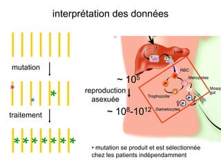 interprétation des données




mutation
                              ~ 105
*




                    reproduction
         *


                      asexuée
    *




traitement                ~ 108-1012
*
*
*
*
*
*
*



                     • mutation se produit et est sélectionnée
                     chez les patients indépendamment
 
