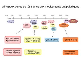 principaux gènes de résistance aux médicaments antipaludiques



                                                                              ART-T
                                                                             SE Asia

                                                               Ato/Pg-R
                                                               travellers




   • pfcrt (3 SNPs)     • pdhfr (3-4 SNPs)
   • pfmdr1 (SNPs)                           • pfmdr1 (CNVs)        • pfcytb (1 SNP)
                        • dhps (1-3 SNPs)




  • vacuole digestive   • cytoplasme                                • mitochondrie
  • fonction inconnue   • synthèse d’ADN                            • transfert d’e-
 