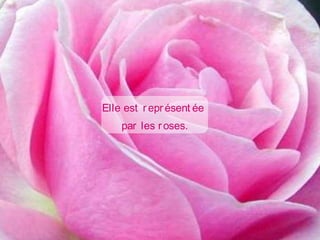 Elle est représent ée
par les roses.
 